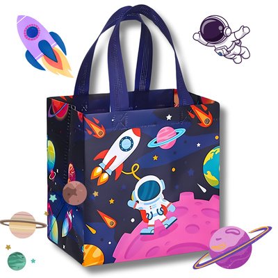 Space Non-woven Premium Quality Gift Bag (30cmX22cmX9cm)