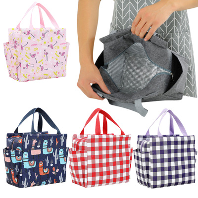 Big insulated lunch bag